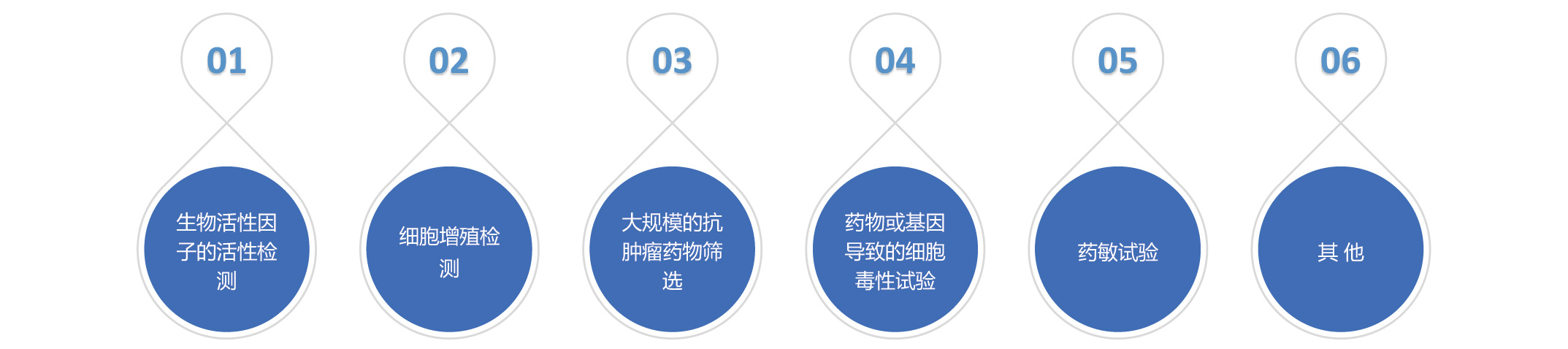 mtt檢測應用