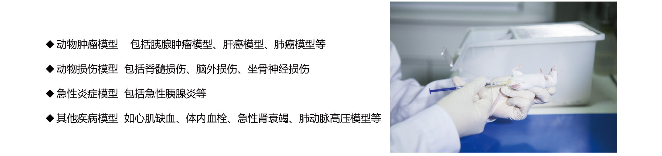 常用藥物研究的疾病動物模型