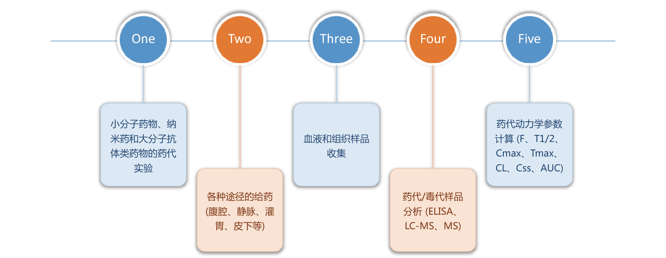 藥代動力學研究 服務項目